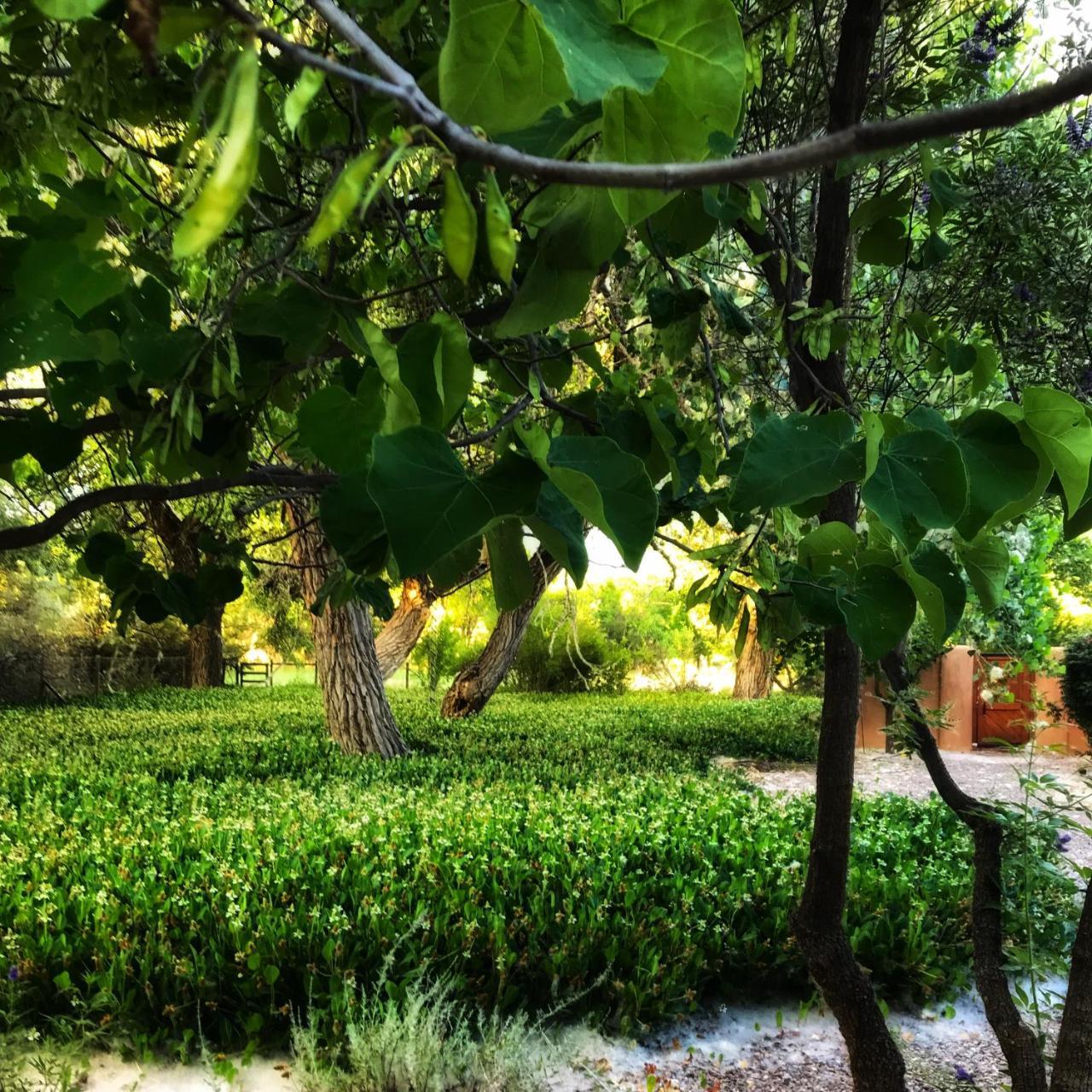 Morning Star Bed & Breakfast Of Corrales Ngoại thất bức ảnh